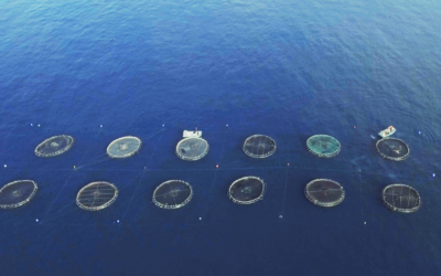 Mathematics to reduce damage to aquaculture in the Canary Islands