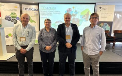 Javier Aramayona, director of the ICMAT, joins the presidency team of the SOMMa network of centres and units of excellence