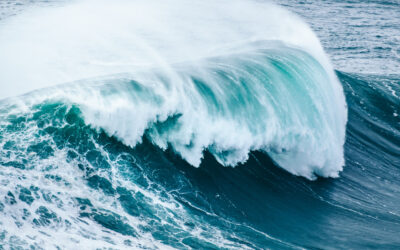 Demonstration of the existence of waves whose crest angle can change with time